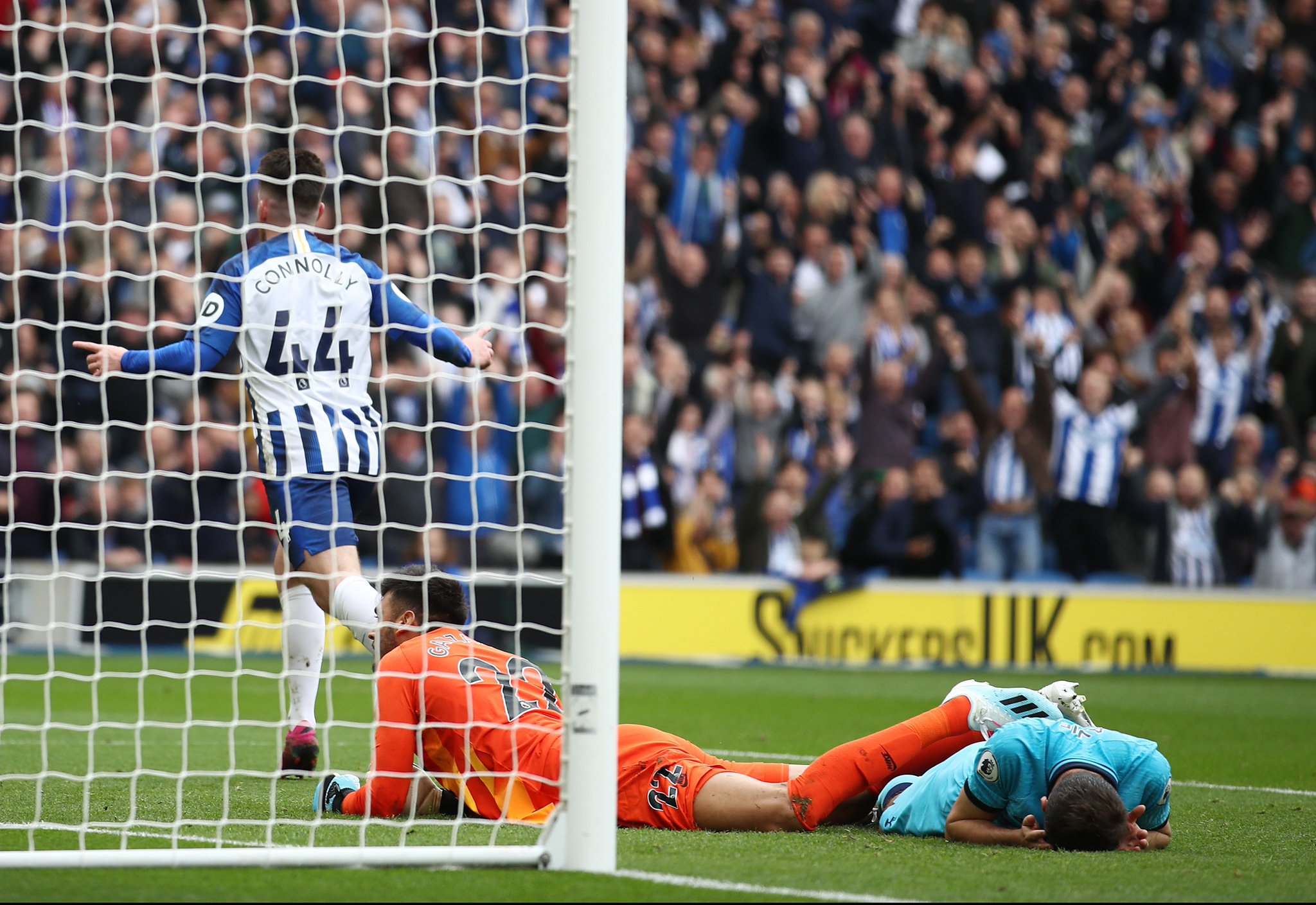 了他的综合 了他的综合